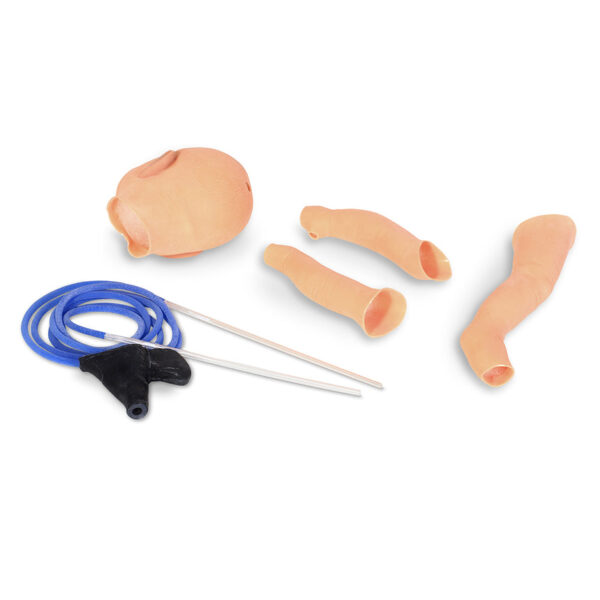 Nasco Nita Newborn Infant Venous Access Simulator Replacement Skin and Vein Set