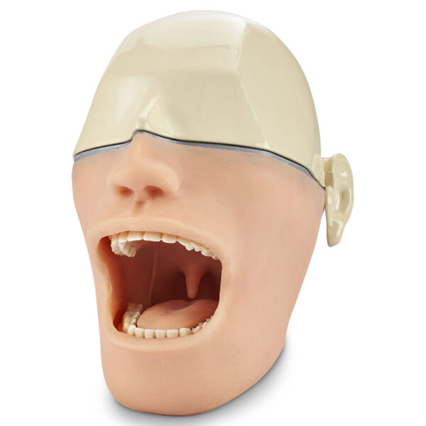 Nasco Oral Anesthesia Manikin Without Metal Skull and Light or Sound Sensors