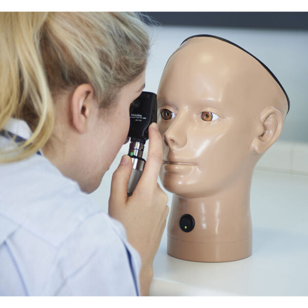 Nasco Digital Eye Examination Retinopathy Trainer Light [SKU: SB51006]