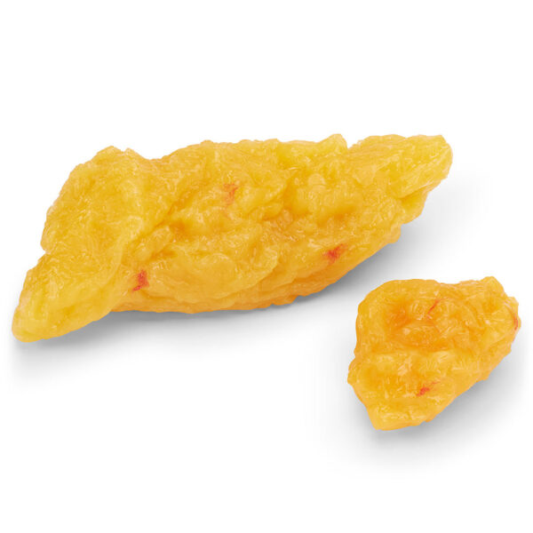 Nasco 1-lb (WA14533U) and 5-lb (WA04313U) Fat Replicas [SKU: WA14574]